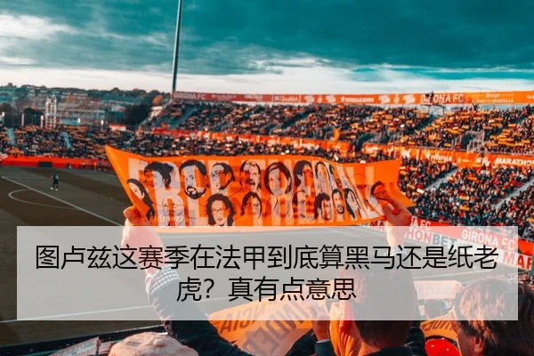 图卢兹这赛季在法甲到底算黑马还是纸老虎？真有点意思